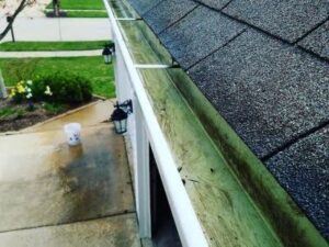 gutter maintenance