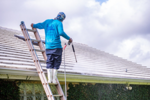 Pressure Washing2