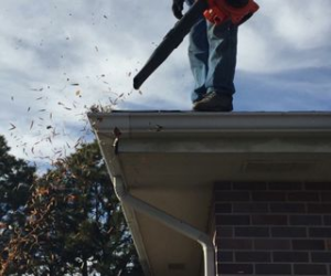 Leaf Blower2