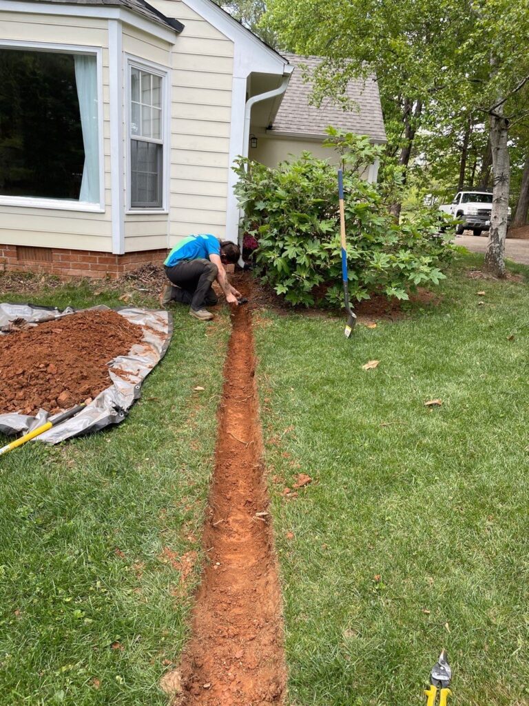 down net http20240219 53 i6quym