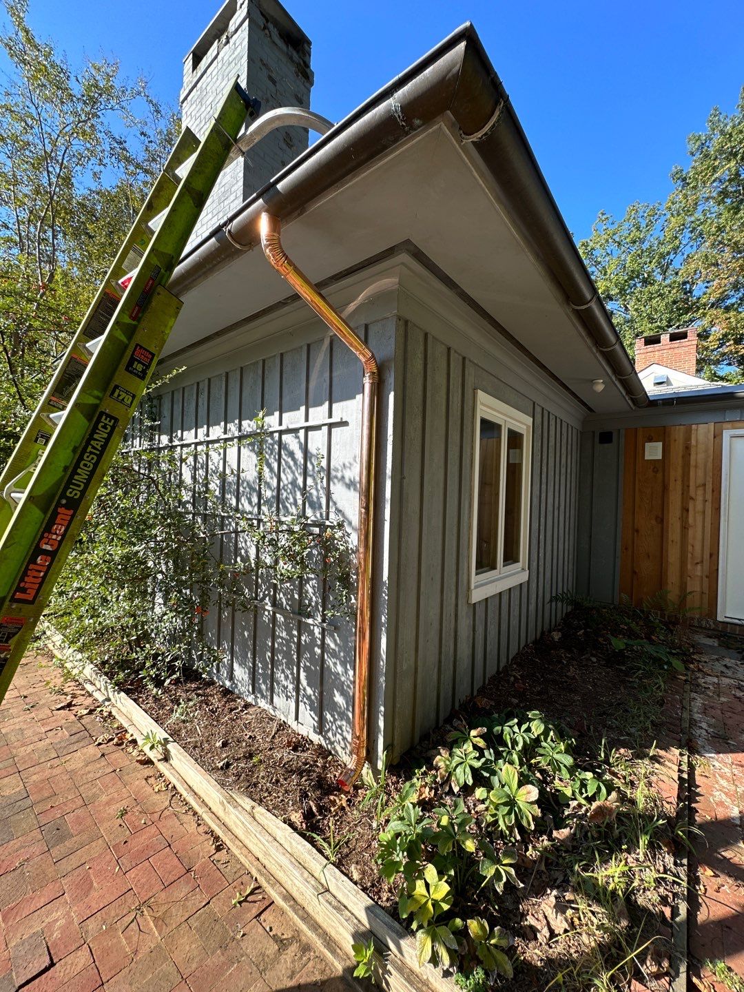 down net http20240228 61 7asrrk